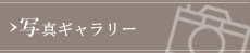 �ʐ^�M�������[