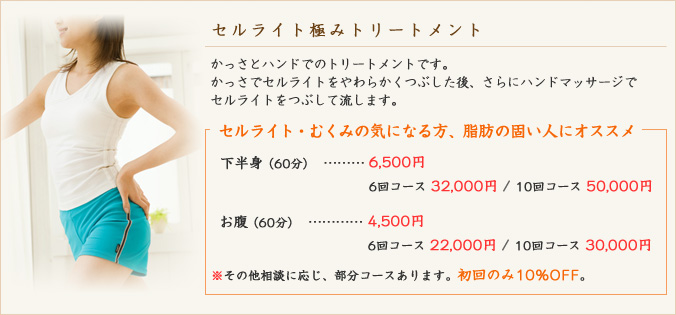 セルライト極みトリートメント