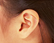 耳つぼダイエットイメージ