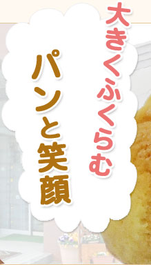 �傫���ӂ����
�p���ƏΊ�
